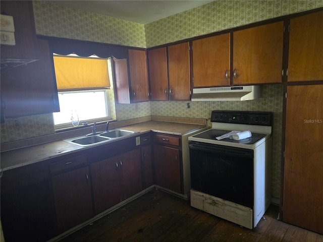 kitchen with wallpapered walls, electric range, dark wood-type flooring, under cabinet range hood, and a sink