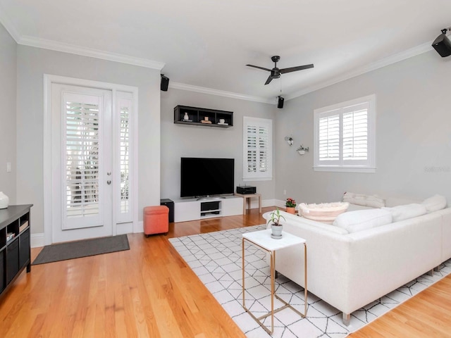 living area featuring a ceiling fan, light wood-style floors, and ornamental molding