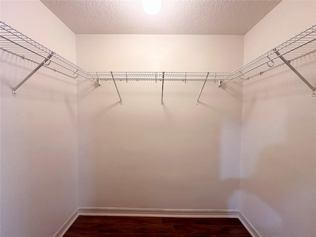 walk in closet with dark wood-style floors