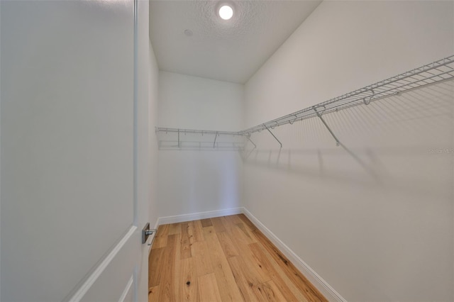 spacious closet featuring light wood-type flooring