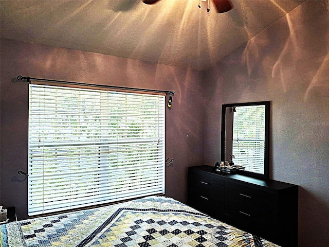 bedroom with ceiling fan and multiple windows