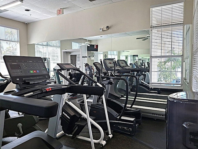 gym featuring a ceiling fan, a healthy amount of sunlight, and a drop ceiling