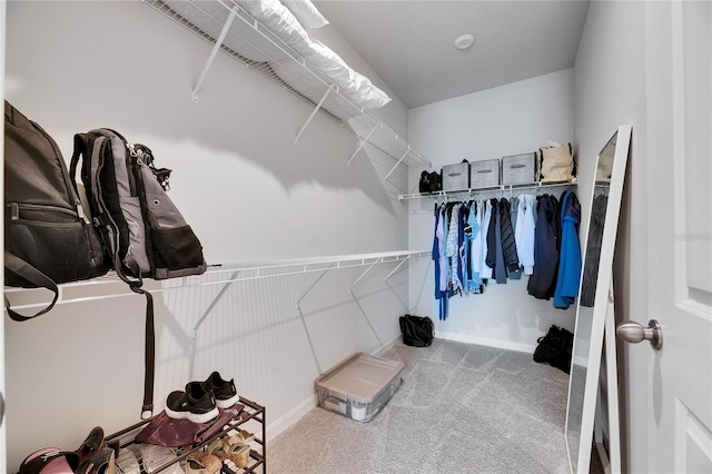 walk in closet featuring carpet