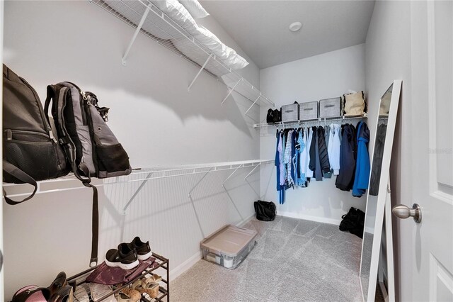 3753 Maxwell Park Dr, Sun City Center, FL 33573 - walk in closet featuring carpet flooring