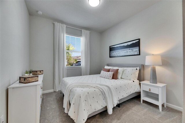 3753 Maxwell Park Dr, Sun City Center, FL 33573 - bedroom featuring carpet and baseboards
