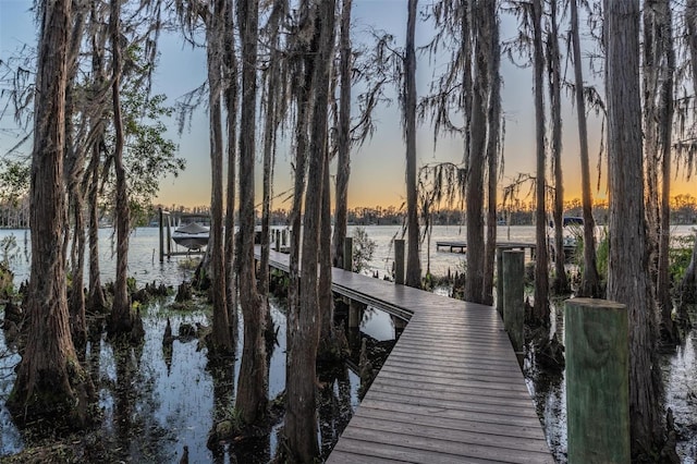 5914 Fitzgerald Rd, Odessa, FL 33556 - dock area featuring a water view