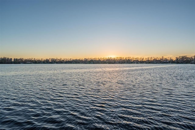 5914 Fitzgerald Rd, Odessa, FL 33556 - water view