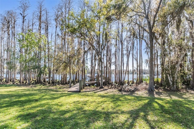 5914 Fitzgerald Rd, Odessa, FL 33556 - view of green lawn featuring a water view