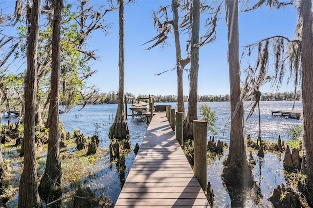 5914 Fitzgerald Rd, Odessa, FL 33556 - dock featuring a water view
