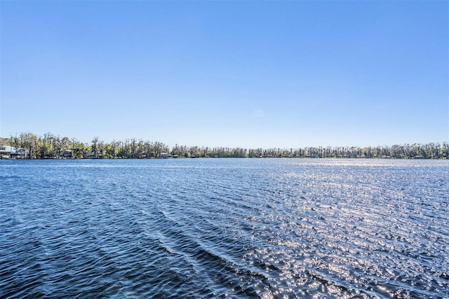 5914 Fitzgerald Rd, Odessa, FL 33556 - water view