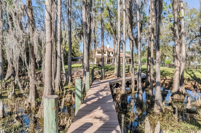 5914 Fitzgerald Rd, Odessa, FL 33556 - view of dock area