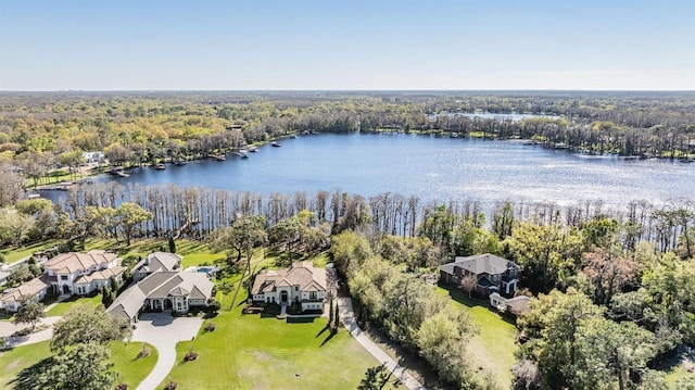 5914 Fitzgerald Rd, Odessa, FL 33556 - aerial perspective of suburban area with a forest and a nearby body of water