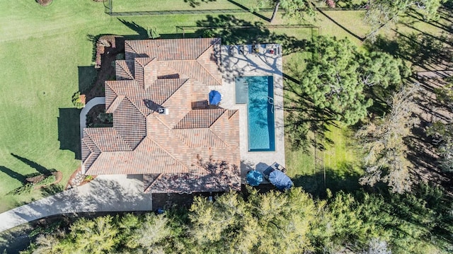 5914 Fitzgerald Rd, Odessa, FL 33556 - view of subject property featuring a pool