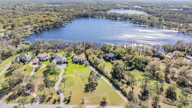 5914 Fitzgerald Rd, Odessa, FL 33556 - aerial perspective of suburban area featuring a large body of water and a heavily wooded area