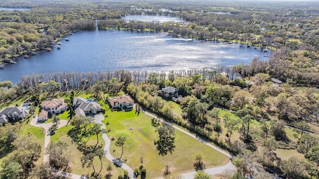 5914 Fitzgerald Rd, Odessa, FL 33556 - aerial perspective of suburban area featuring a large body of water
