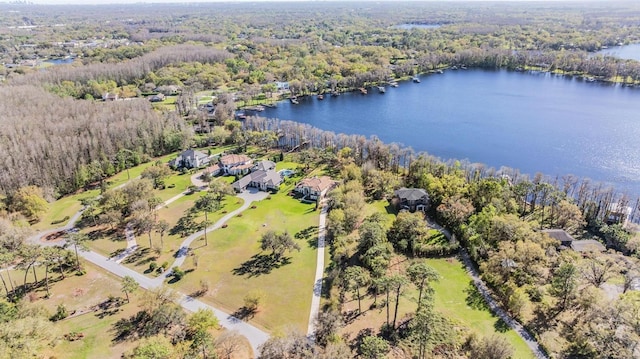 5914 Fitzgerald Rd, Odessa, FL 33556 - drone / aerial view of a heavily wooded area and a nearby body of water