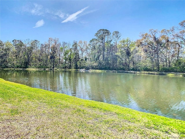 view of water feature with a forest view