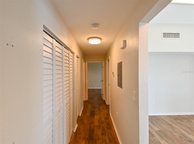 9730 Lake Chase Island Way Unit 9730, Tampa, FL 33626 - corridor with electric panel and wood finished floors
