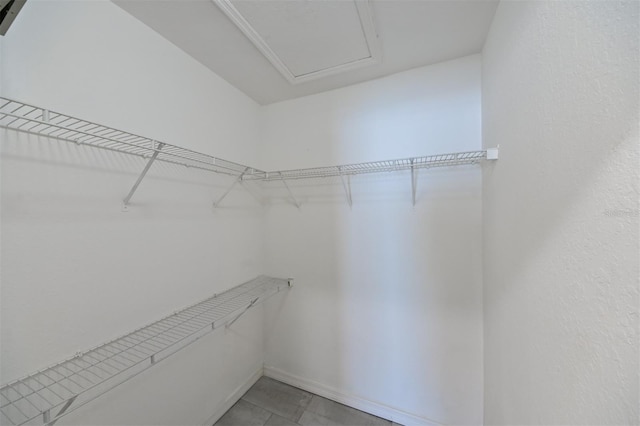9730 Lake Chase Island Way Unit 9730, Tampa, FL 33626 - view of walk in closet