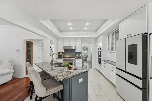 kitchen with a sink, under cabinet range hood, a kitchen breakfast bar, appliances with stainless steel finishes, and a raised ceiling