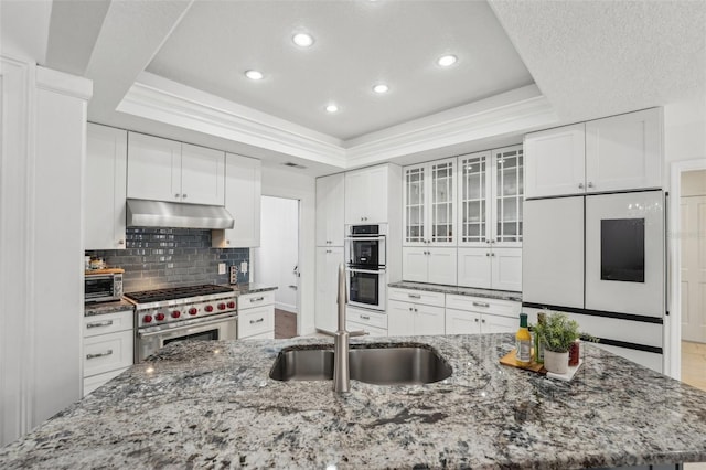 kitchen featuring under cabinet range hood, appliances with stainless steel finishes, a tray ceiling, and a sink