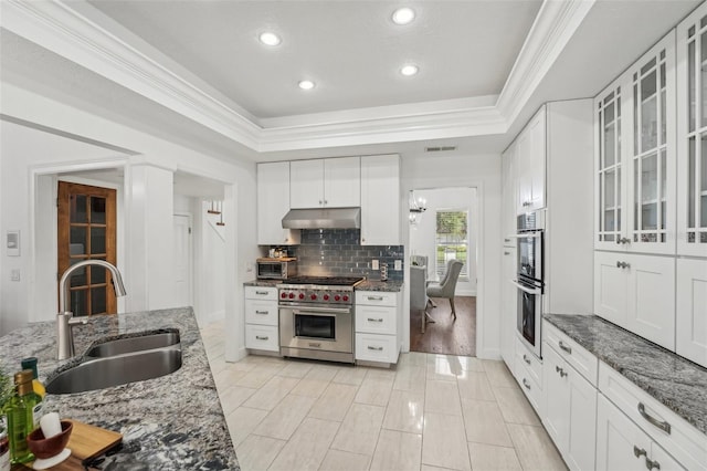 kitchen with a tray ceiling, luxury stove, a sink, under cabinet range hood, and crown molding