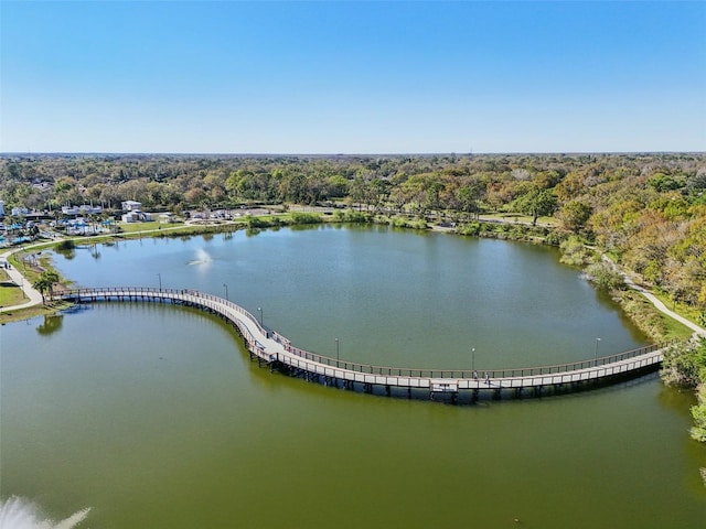 bird's eye view featuring a water view and a wooded view