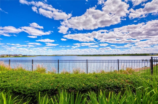 11605 Cleyera Ct, Riverview, FL 33579 - water view with fence