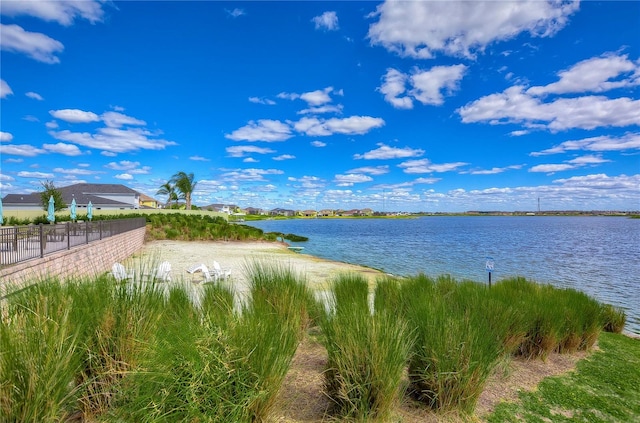 11605 Cleyera Ct, Riverview, FL 33579 - water view with fence