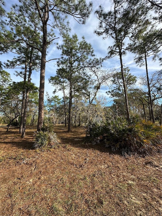 2 Barkwood Pt, Homosassa FL, 34446 land for sale