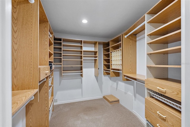 walk in closet featuring carpet floors