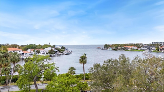 824 S Bayside Dr, Tampa FL, 33609 land for sale