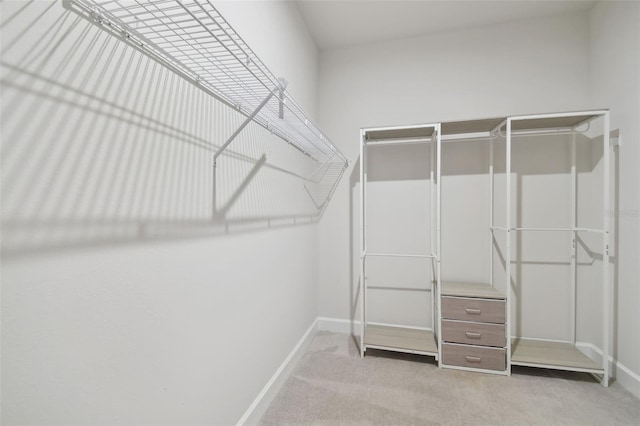 spacious closet featuring carpet flooring