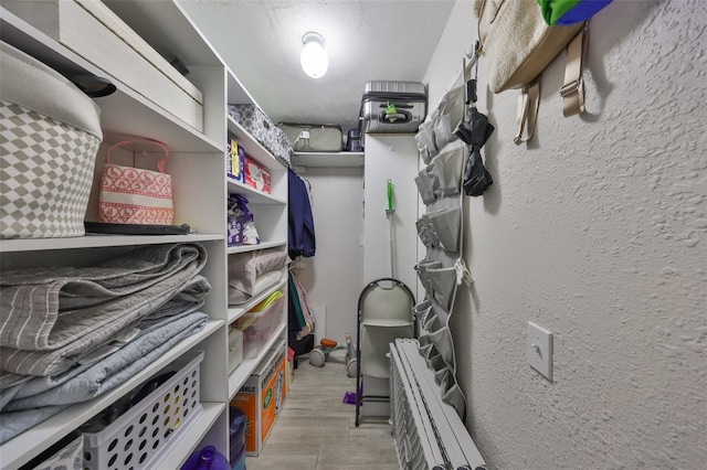 spacious closet featuring wood finished floors