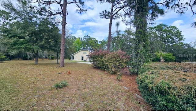 view of yard