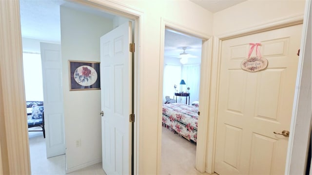 corridor featuring light colored carpet