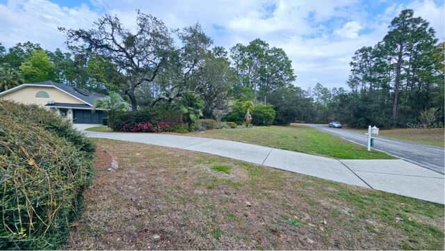 view of yard featuring concrete driveway and an attached garage