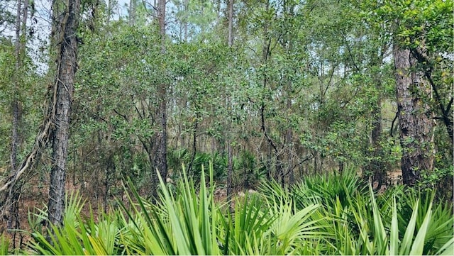 view of local wilderness featuring a forest view