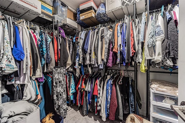 6494 Beverly Hills Dr, Zephyrhills, FL 33541 - view of spacious closet