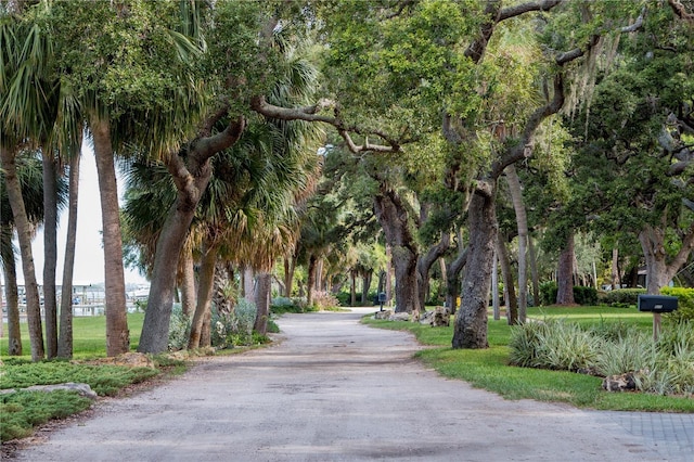 view of home's community with driveway