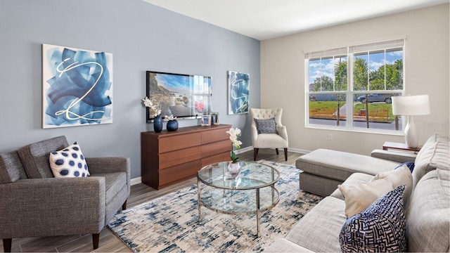 living room with baseboards and wood finished floors