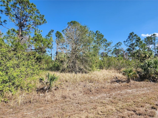 Listing photo 2 for LOT14 Hamerton Rd, North Port FL 34288