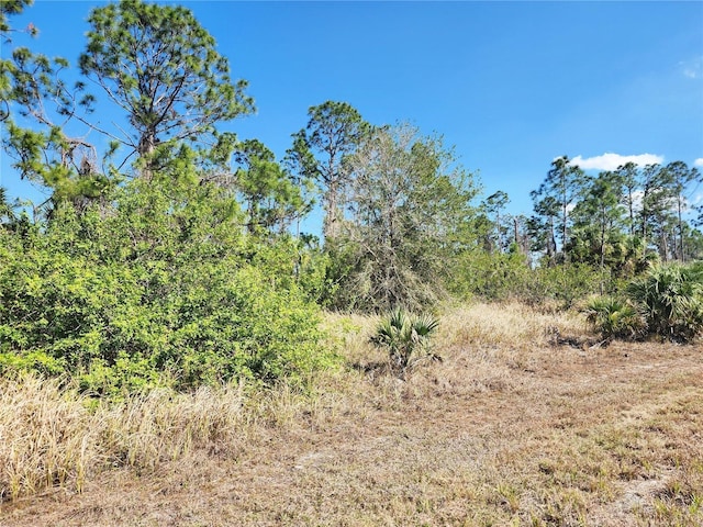 Listing photo 3 for LOT14 Hamerton Rd, North Port FL 34288