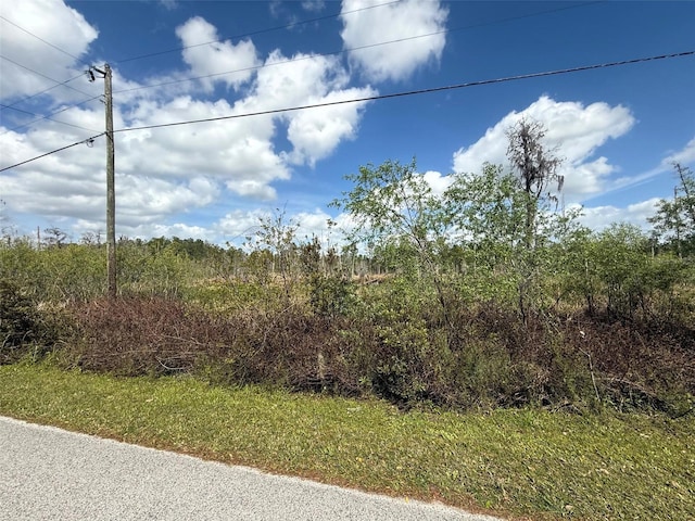 Green Willow Run Lot 747, Wesley Chapel FL, 33544 land for sale