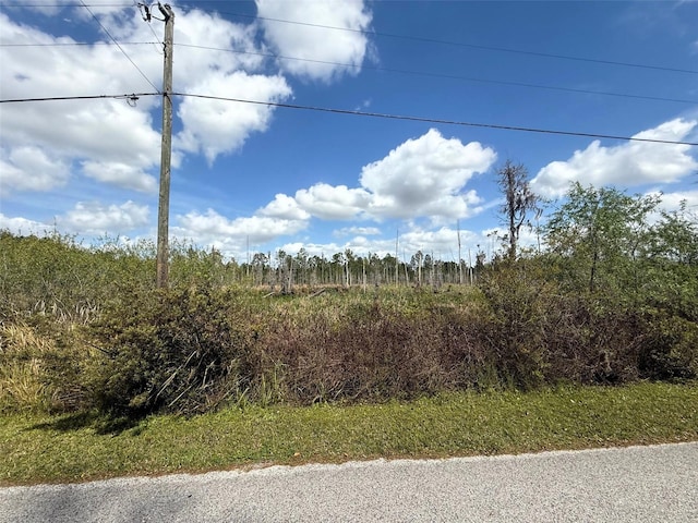 Listing photo 2 for Green Willow Run Lot 747, Wesley Chapel FL 33544