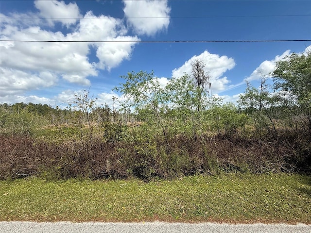 Listing photo 3 for Green Willow Run Lot 747, Wesley Chapel FL 33544