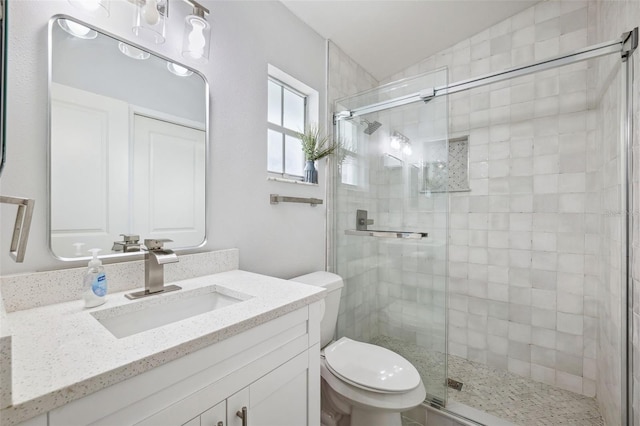 bathroom with a shower stall, toilet, and vanity