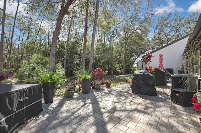 6395 Pinestand Ct, Spring Hill, FL 34606 - photo 19