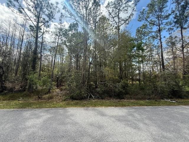 Green Willow Run Lot 759, Wesley Chapel FL, 33544 land for sale