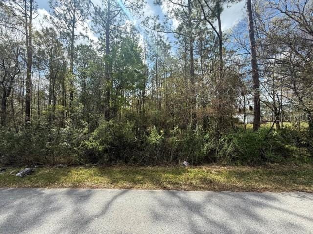 Listing photo 2 for Green Willow Run Lot 759, Wesley Chapel FL 33544